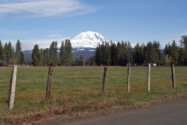 Adams From Goldendale 