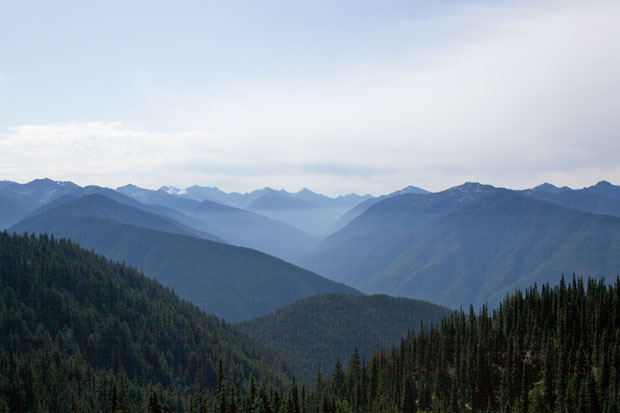 View of Mountains from Hurricane Ridge