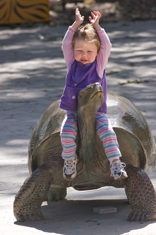 Girl Riding Turtle Statue