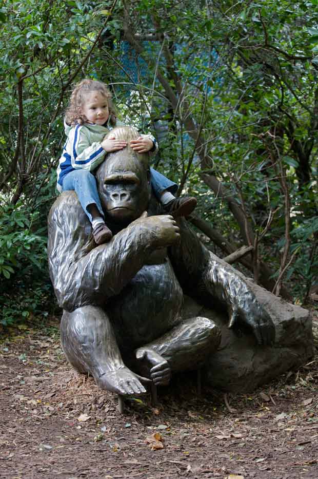 Lael Riding Gorilla Statue