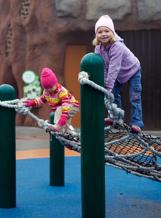 Kids Playground at the Zoo