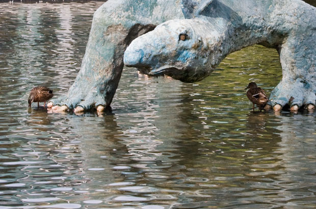 Ducks under stegosaurus statue