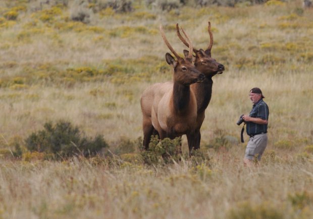 Photographer with Elk