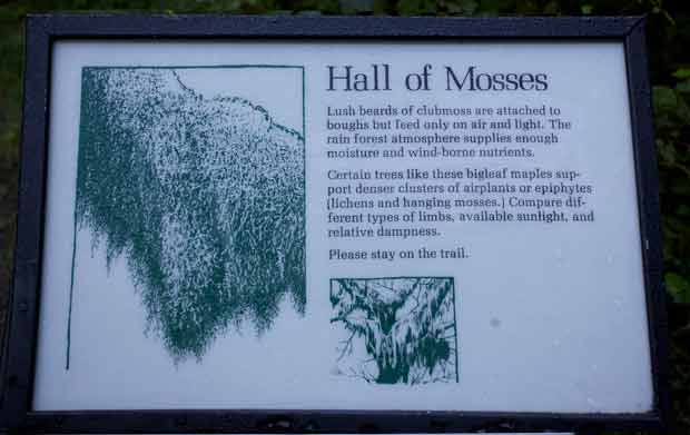 Hall of Mosses Sign 
