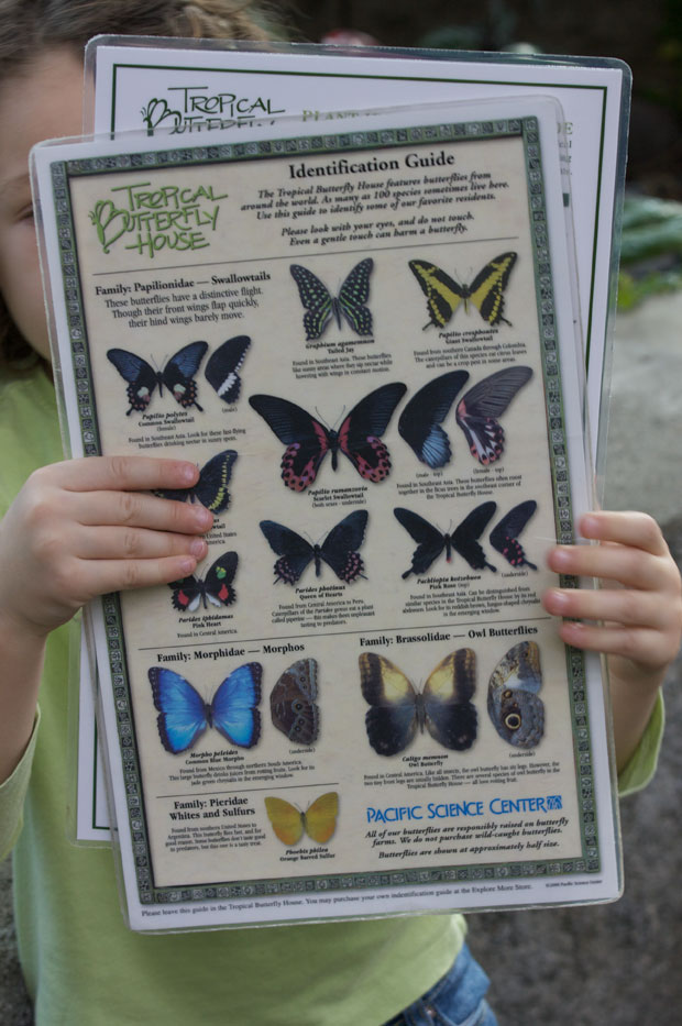 Lael With Butterfly Guide