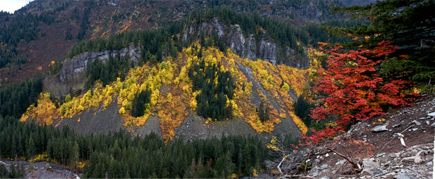 Fall Colors Across the Valley