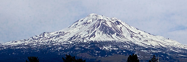 Mt. Shasta 