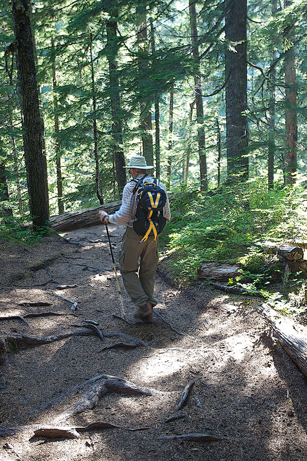 hiker on trail 