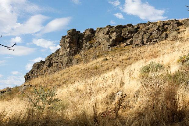 Outcrop of Rocks