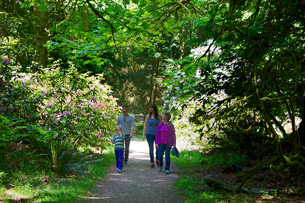  walk through Rhododendron Garden