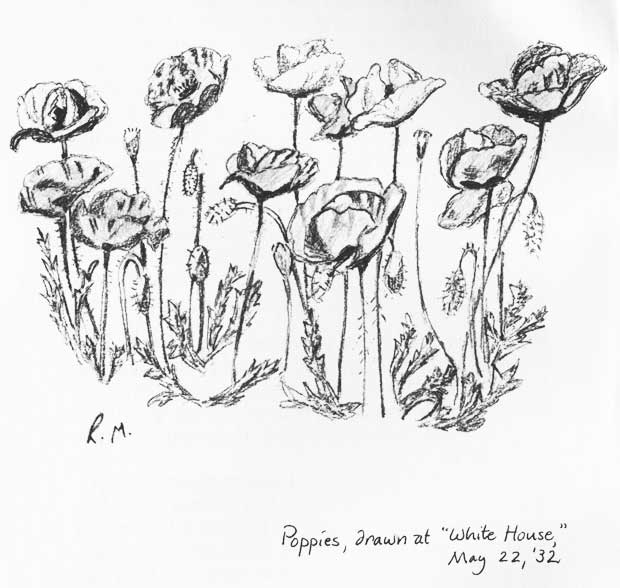 May's Poppies Sketch