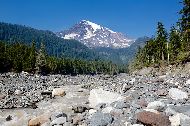 Rainier from Nisqually River 