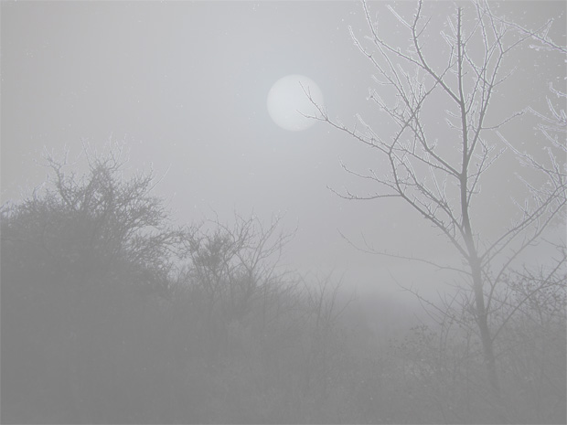 sun through fog 
