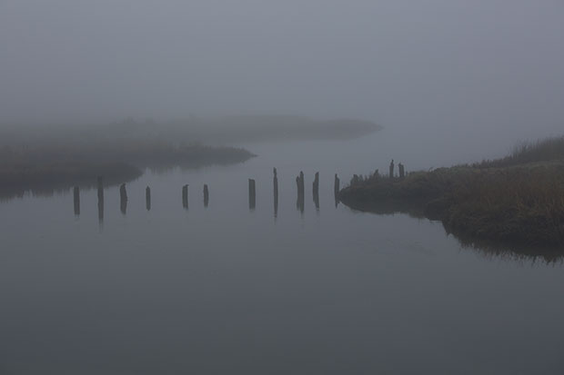  foggy river