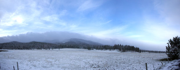 Snow Dusted Meadow