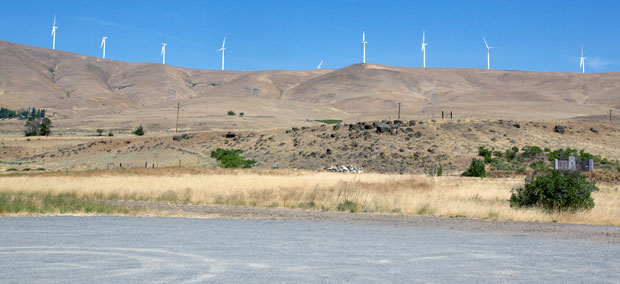 Wind Mills Line The Gorge